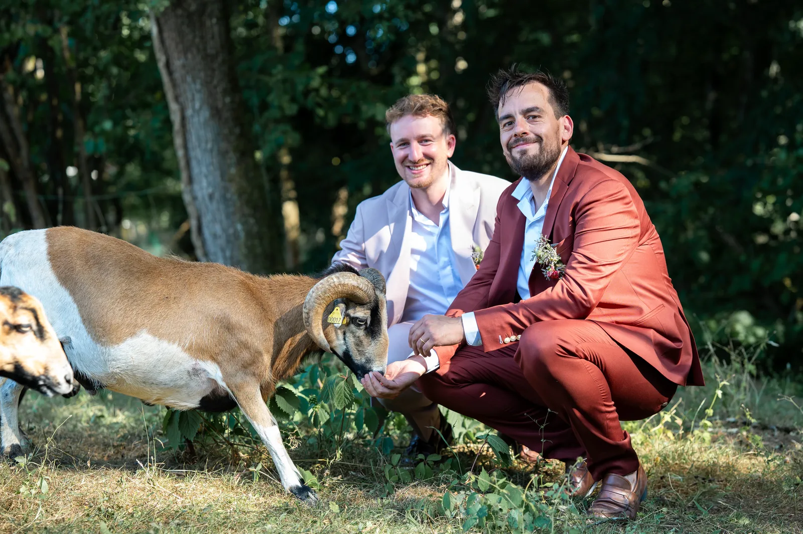 Le mariage dont personne ne pensait qu'il était possible — mariage C. & S. à Armeau (89) (photo 3)
